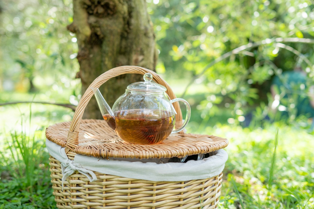 tisane per ritrovare equilibrio