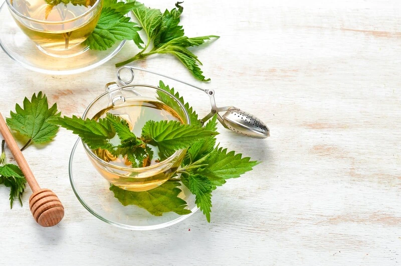 tazza con infuso di ortica e alcune foglie poste a decorazione