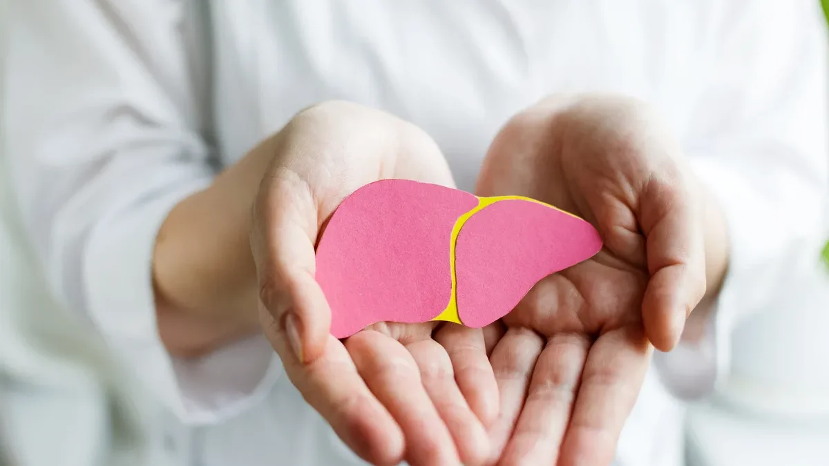 donna che tiene tra le mani un fegato stilizzato in cartoncino